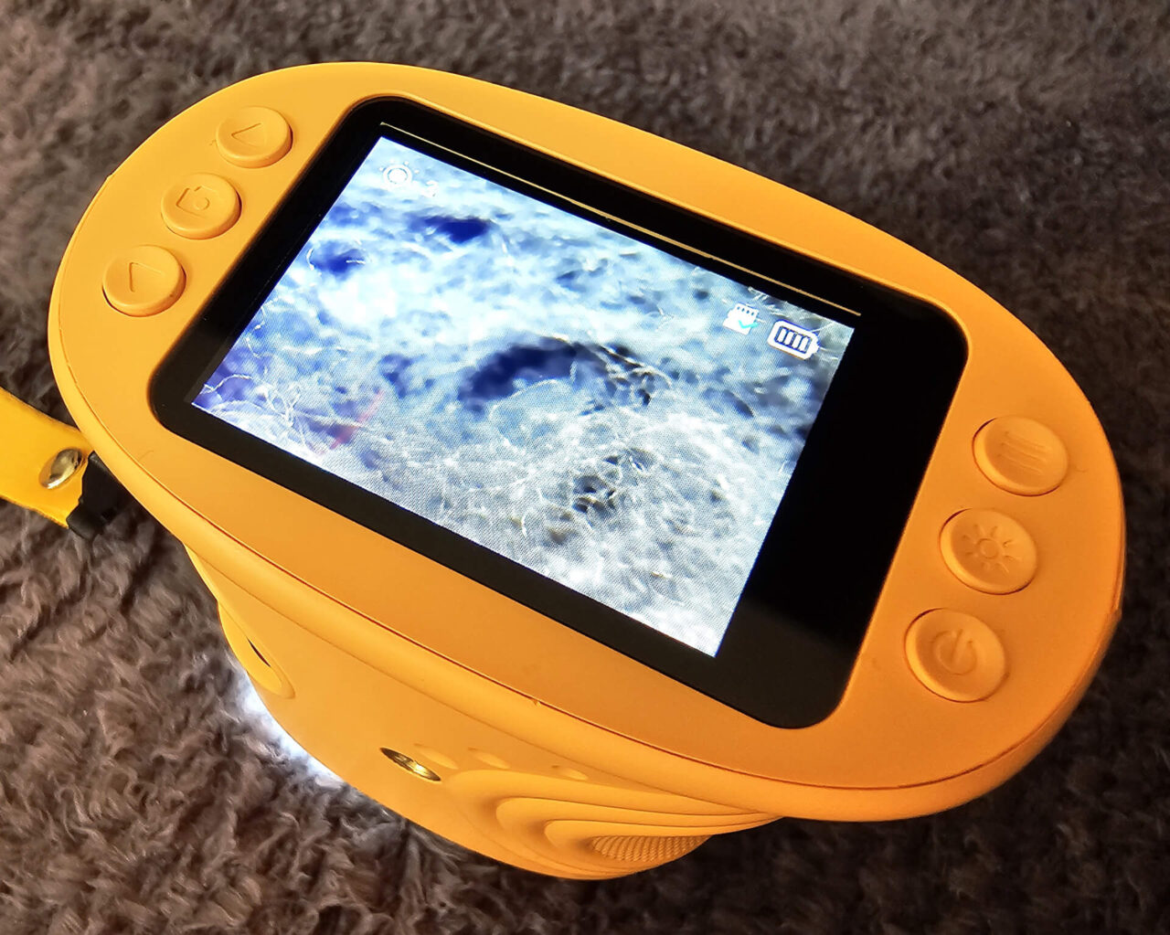 1000x Kinder Mikroskop Display