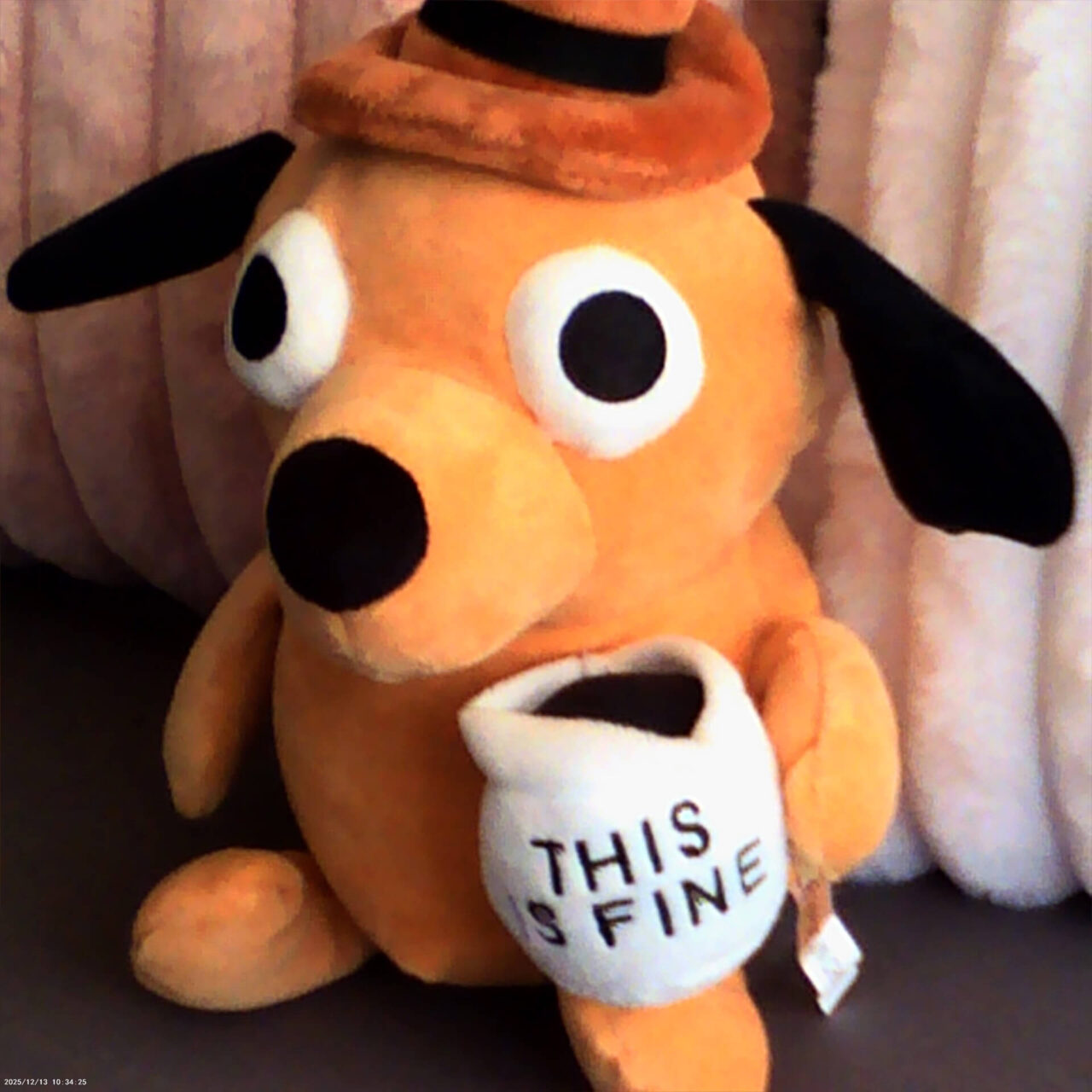 4K 48MP DV-Kamera This Is Fine Dog Foto