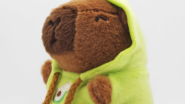 Capybara Plüschie mit Hoodie