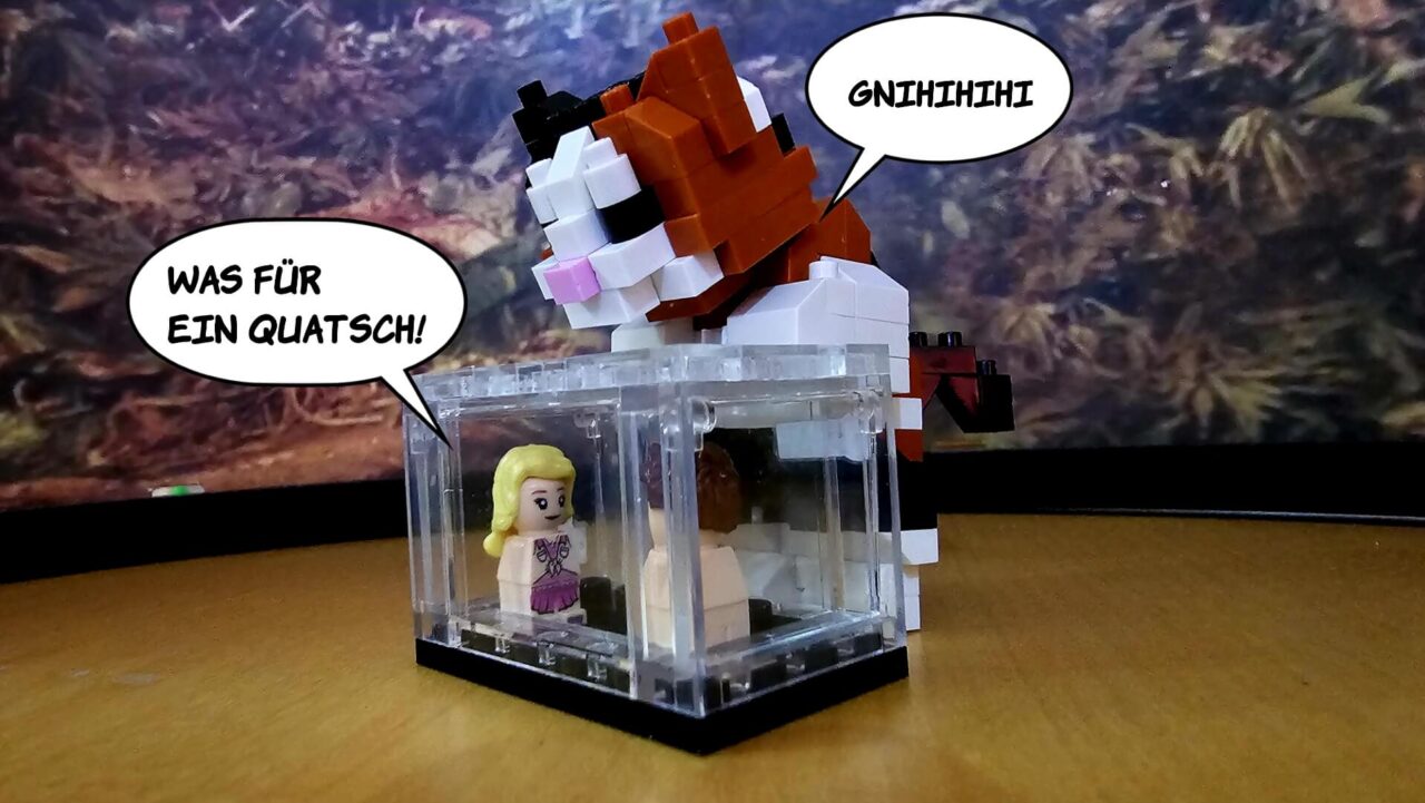 Verschwörungstheorien Seite 4