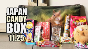 Japan Candy Box November 2025