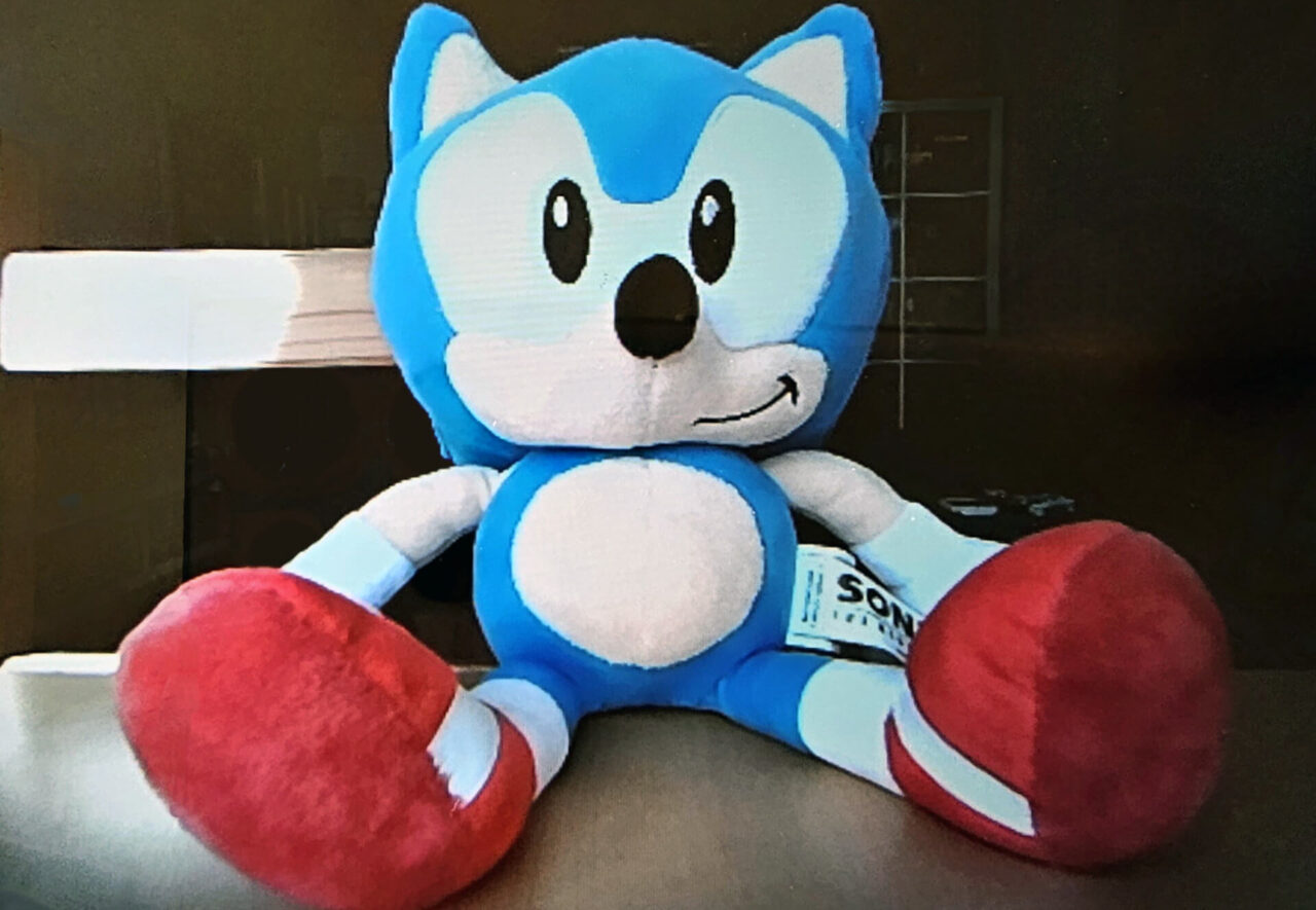 Nintendo Switch 2 USB-C-Flower-Kamera Aufnahme