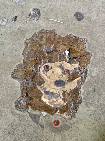 Pareidolie Boden 1