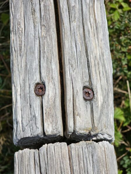 Pareidolie Holzgeländer 1