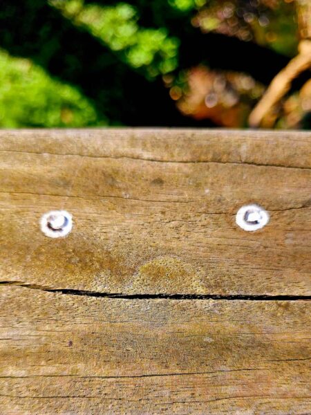 Pareidolie Holzgeländer 2