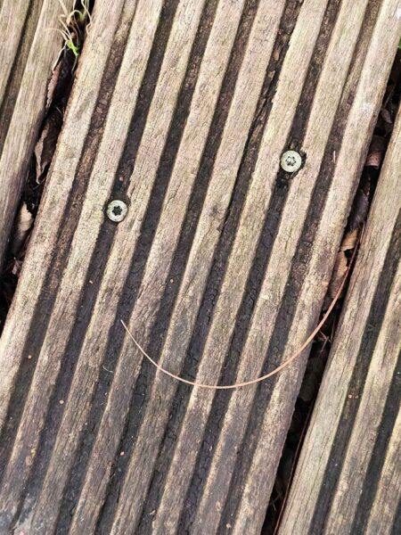 Pareidolie Holzgeländer 3