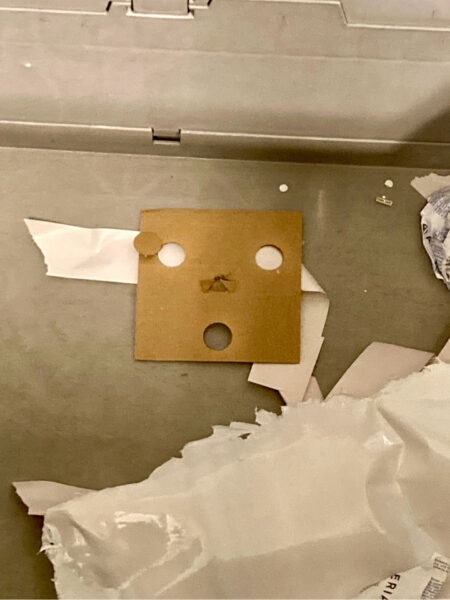 Pareidolie Pappe 1