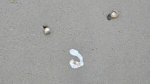 Pareidolie – Emma sieht Gesichter