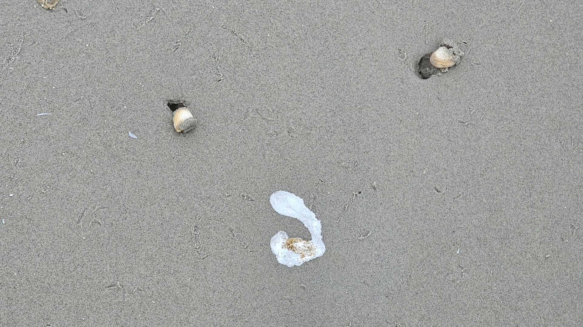 Pareidolie