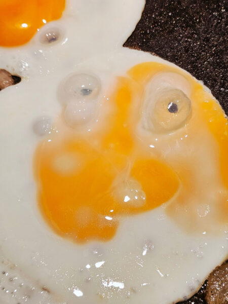 Pareidolie Spiegelei 1
