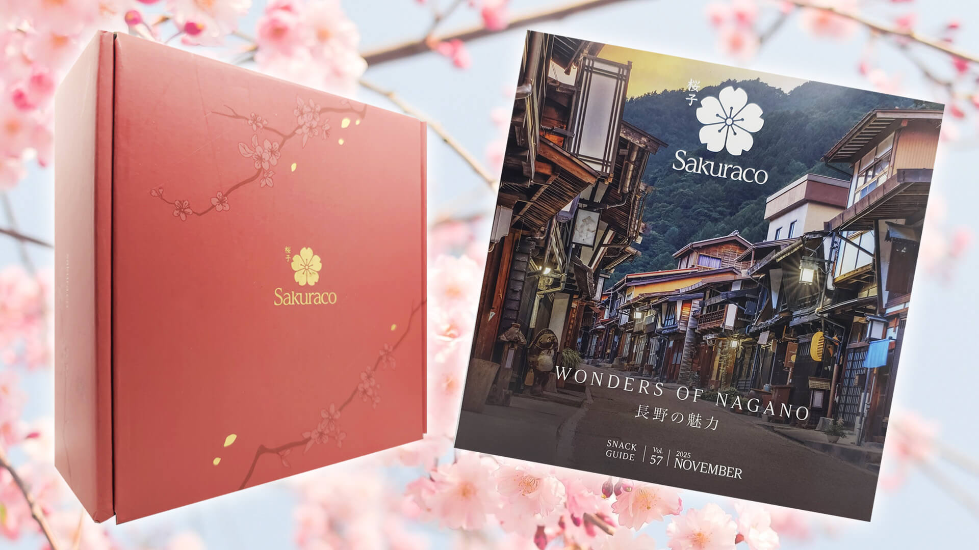 Sakuraco November 2025