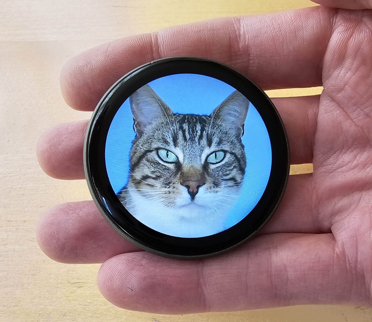Smart Electronic Badge E87 Größenvergleich