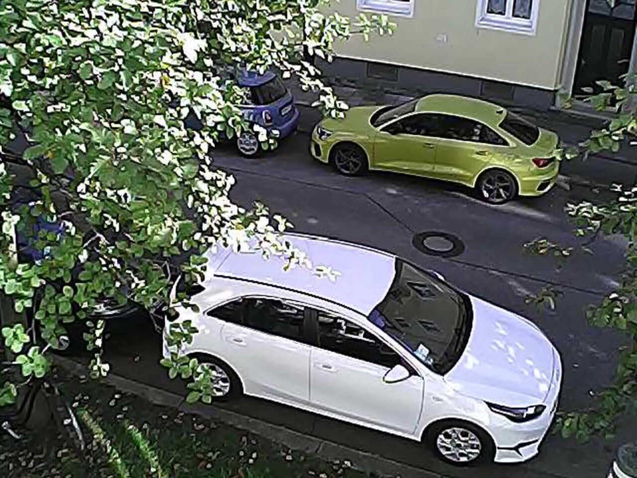 Sofortbildkamera mit Thermodruck 48 MP Straße